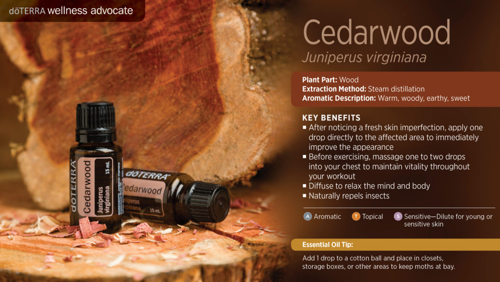 Cedarwood Essential Oil Bug Repellent