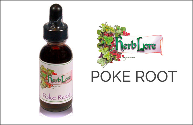 Poke Root Remedy for Mastitis
